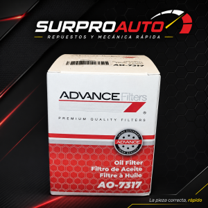 Filtro Aceite Nissan 7317 Rosca "20" pequeño AO-7317 P4-F4-B